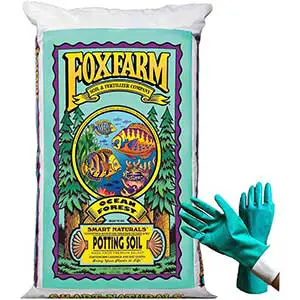 FoxFarm Organic Mix Ocean Forest Potting Soil
