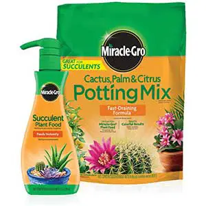 Miracle-Gro Potting Soil for Jade Plant + Liquid Plant Food