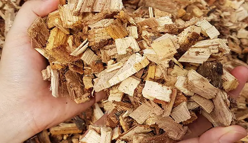 Benefits of Wood Chips as Mulch