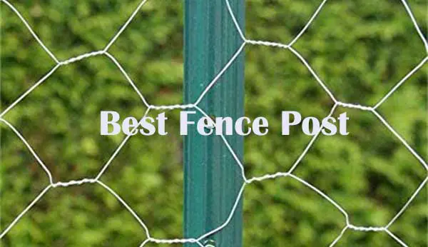 Best Fence Post