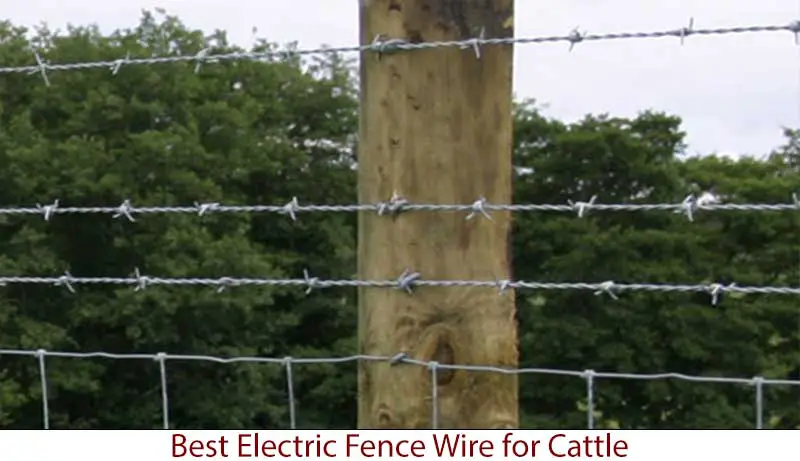 best electric fence wire for cattle