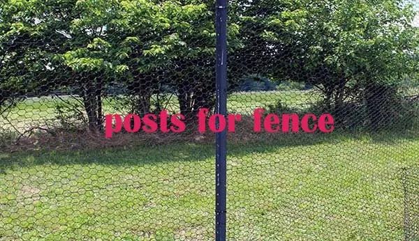 posts for fence