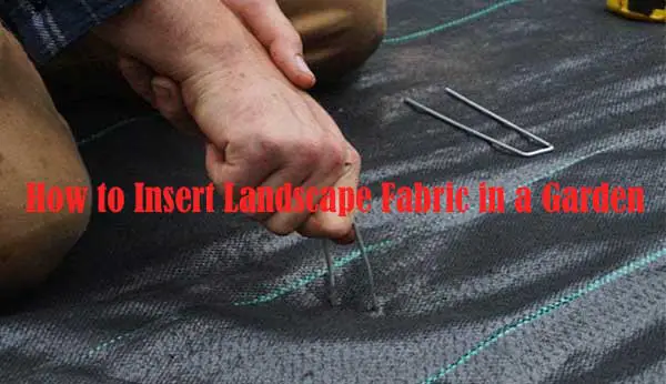 How to Insert Landscape Fabric in a Garden