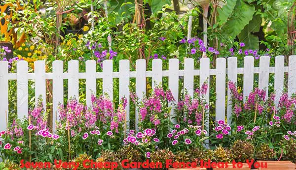 Seven Very Cheap Garden Fence Ideas to You