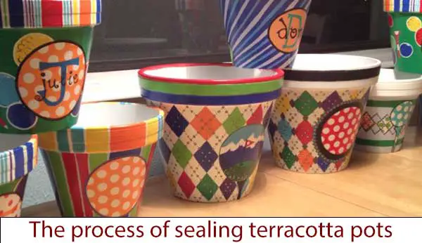 The Process of Sealing Terracotta Pots