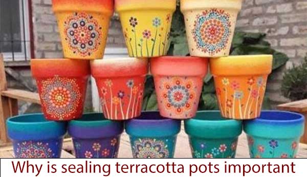 Why is Sealing Terracotta Pots Important?