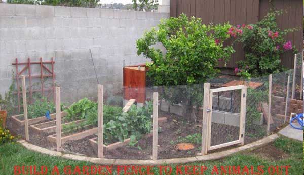 Build a Garden Fence to Keep Animals Out