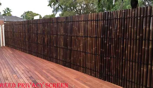 Reed Privacy Screen