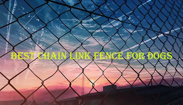 Best Chain Link Fence for dogs