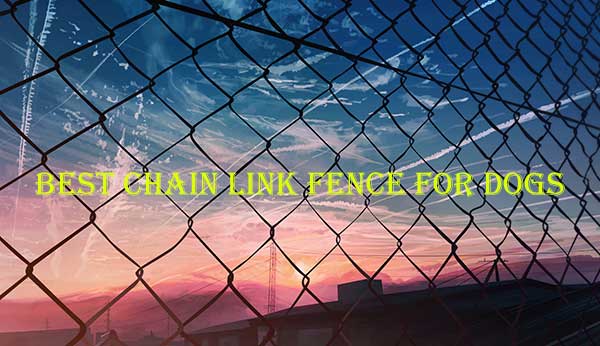 Best Chain Link Fence for dogs