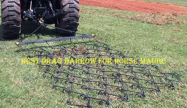 best drag harrow for horse maure