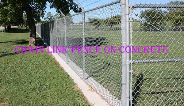 Chain Link Fence on Concrete