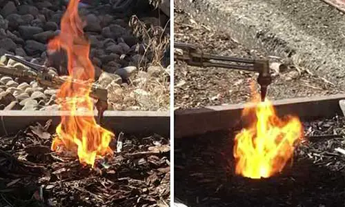 Is wood chip mulch a fire hazard