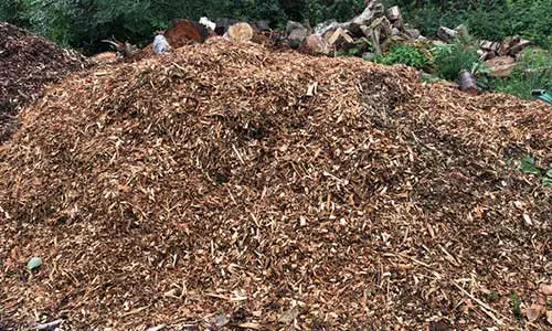 Pros And Cons Of Wood Chip Mulch