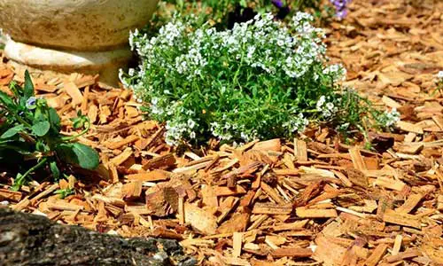 What to do with wood chips from chipper