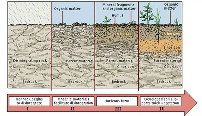 Where Does Soil Come From