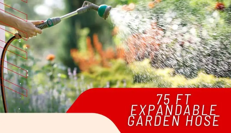 75 ft Expandable Garden Hose
