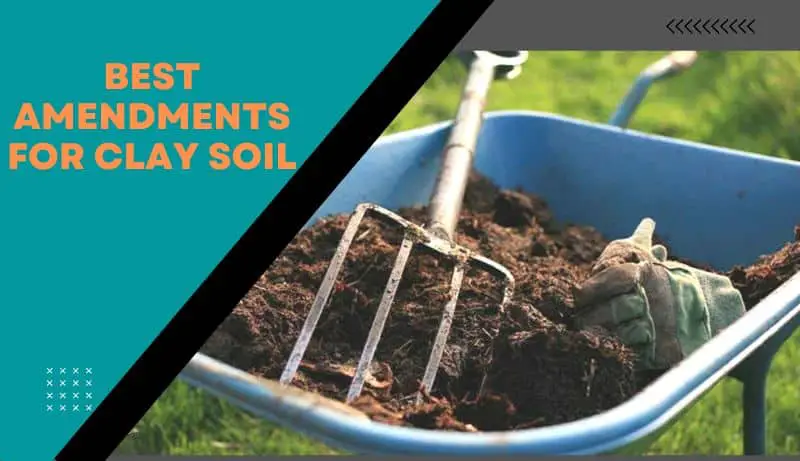 amendments for clay soil