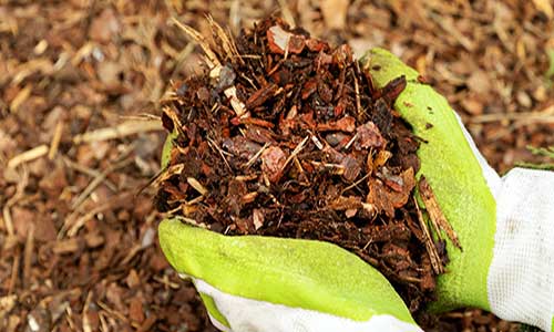 Organic Mulches