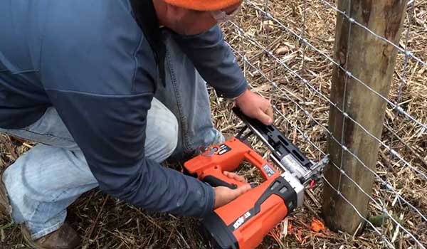 What size staples for welded wire fence