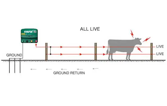 Why are there three ground rods on electric fences