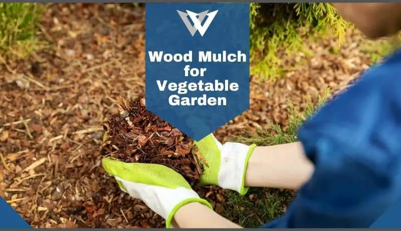 Wood Mulch for Vegetable Garden