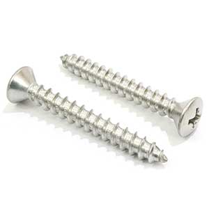 Phillips Stainless Steel Screws │ Durable