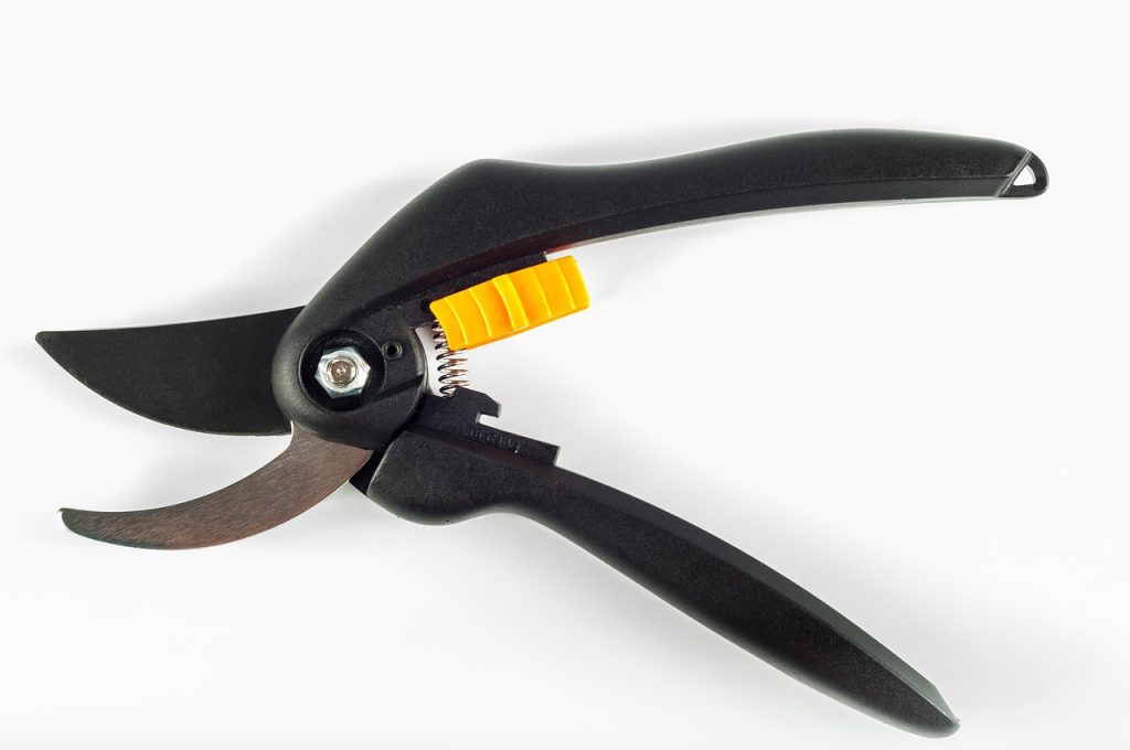 Pruning Scissors