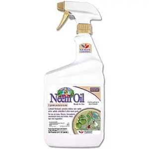BONIDE Aphid Killer | Neem Oil | Ready-to-Use | 4 lb.
