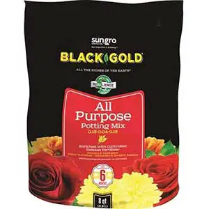 Black Gold Soil for Beans | All Purpose Potting Soil