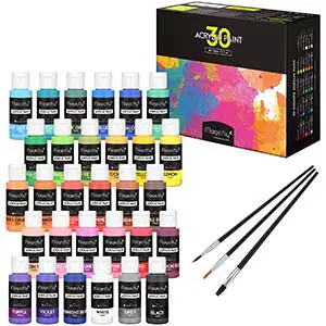 Magicfly 30 Colors Acrylic Paint Set | 30pcs | 3 Brushes