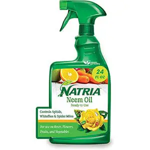 Natria Insect, Disease, & Mite Control for Indoor and Outdoor Plants