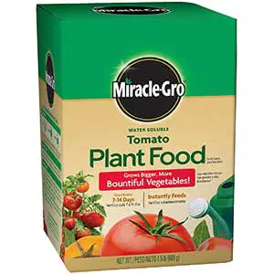 Miracle-Gro Fertilizer for Ficus Hedge | Plant Food | 1.5 lbs