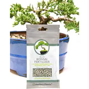 PERFECT PLANTS All Natural Slow Release Bonsai Fertilizer Pellets