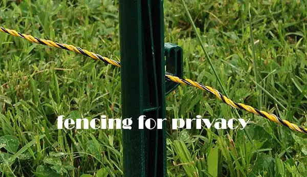 fencing for privacy