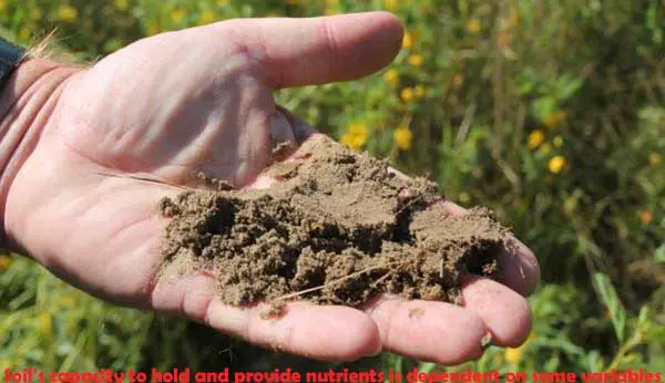 Soil's capacity to hold and provide nutrients is dependent on some variables