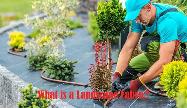 What is a Landscape Fabric?