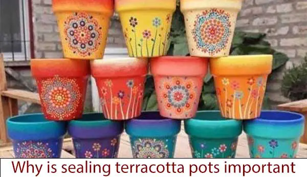 Why is Sealing Terracotta Pots Important?