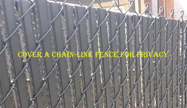 Cover a Chain Link Fence for Privacy