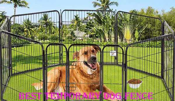 best temporary dog fence