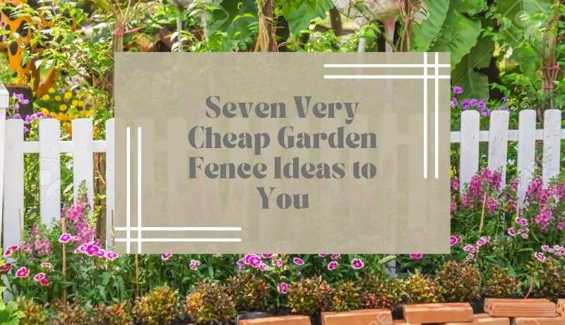 Seven Very Cheap Garden Fence Ideas
