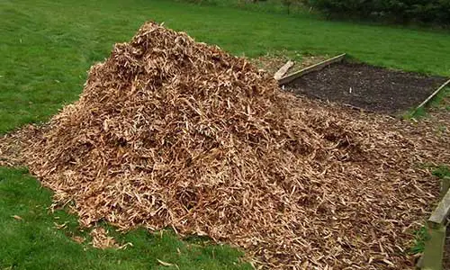 Where To Use Wood Chips