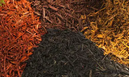 are there different kinds of wood mulch