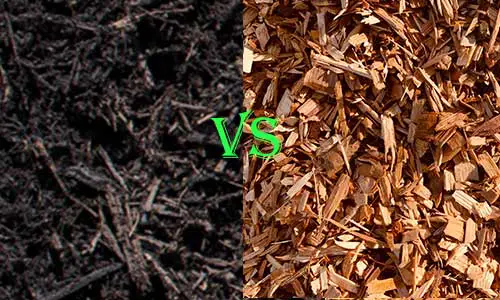 What's the difference between compost and wood mulch
