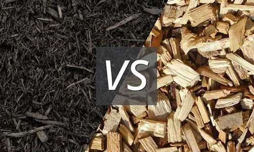 Wood mulch vs wood chips