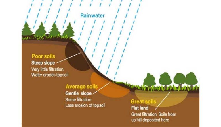 How Does Climate Affect Soil Formation? Easy Guide