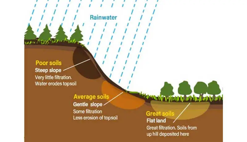 Climate Affect Soil Formation