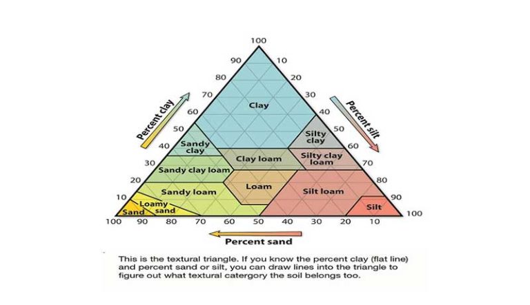 How Does Climate Affect Soil Formation? Easy Guide