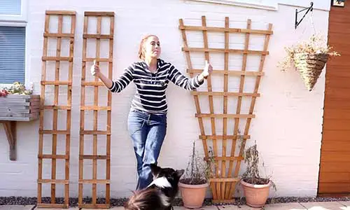 Attach Trellis to Brick Wall Without Drilling