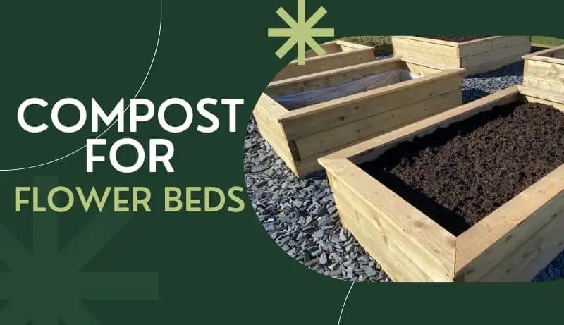 Compost for Flower Beds